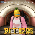 菠萝头吃鸡手游下载