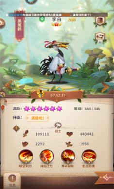 小鸟爱飞翔中文版下载3