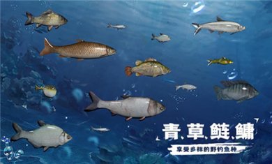 天天钓鱼下载正版2