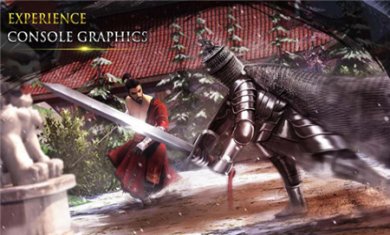 忍者武士隆汉化版下载3