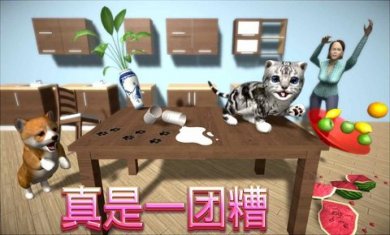 猫咪日常模拟小游戏下载2