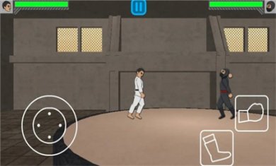 物理格斗战士游戏下载5