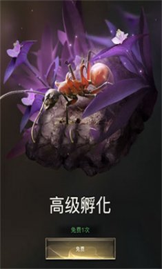 小小蚁国37官方版下载1