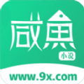 咸鱼小说无广告版下载