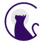 夜猫阅读小说下载
