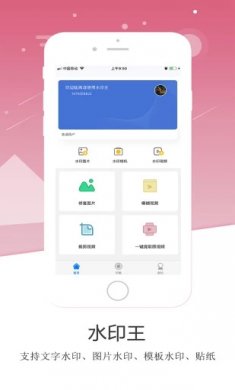 水印王2024下载2