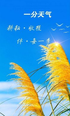 天气预报神器免费下载安装2