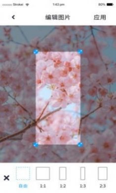 P图照片处理免费版下载2