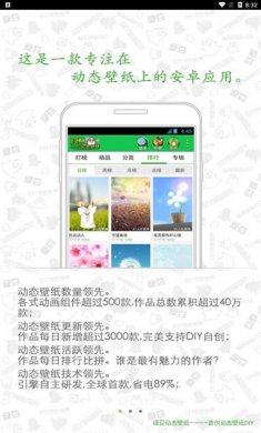 绿豆动态壁纸官方版下载2