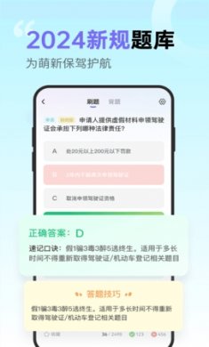 拿捏驾考电脑版下载3