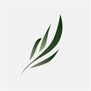 东南小说免费下载