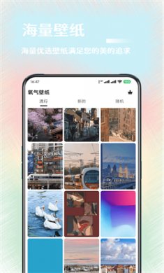 氧气壁纸安卓正版下载4