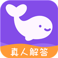 准准app官方下载