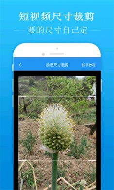 去水印吧2024安卓版下载2