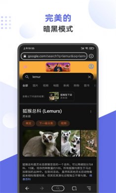 狐猴浏览器手机版下载3