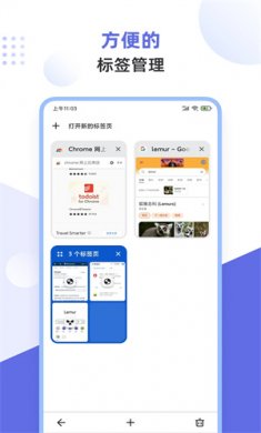 狐猴浏览器手机版下载2