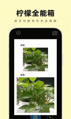 柠檬全能箱安卓版下载3