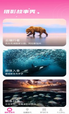 千颜秀手机版下载安装2