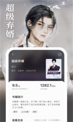 琅阅小说正式版app下载3