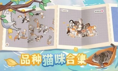 挤在一起的猫猫游戏下载1