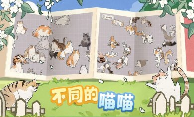 挤在一起的猫猫游戏下载3