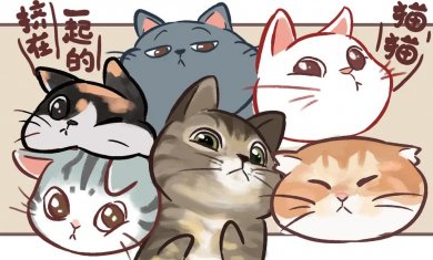 挤在一起的猫猫游戏下载2