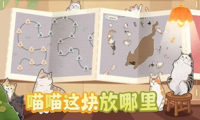 挤在一起的猫猫游戏下载4