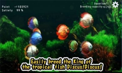 热带鱼水族馆最新版下载3
