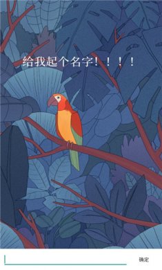孤独的鸟儿正版下载安装3