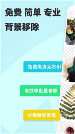 椰子背景官方下载安装3