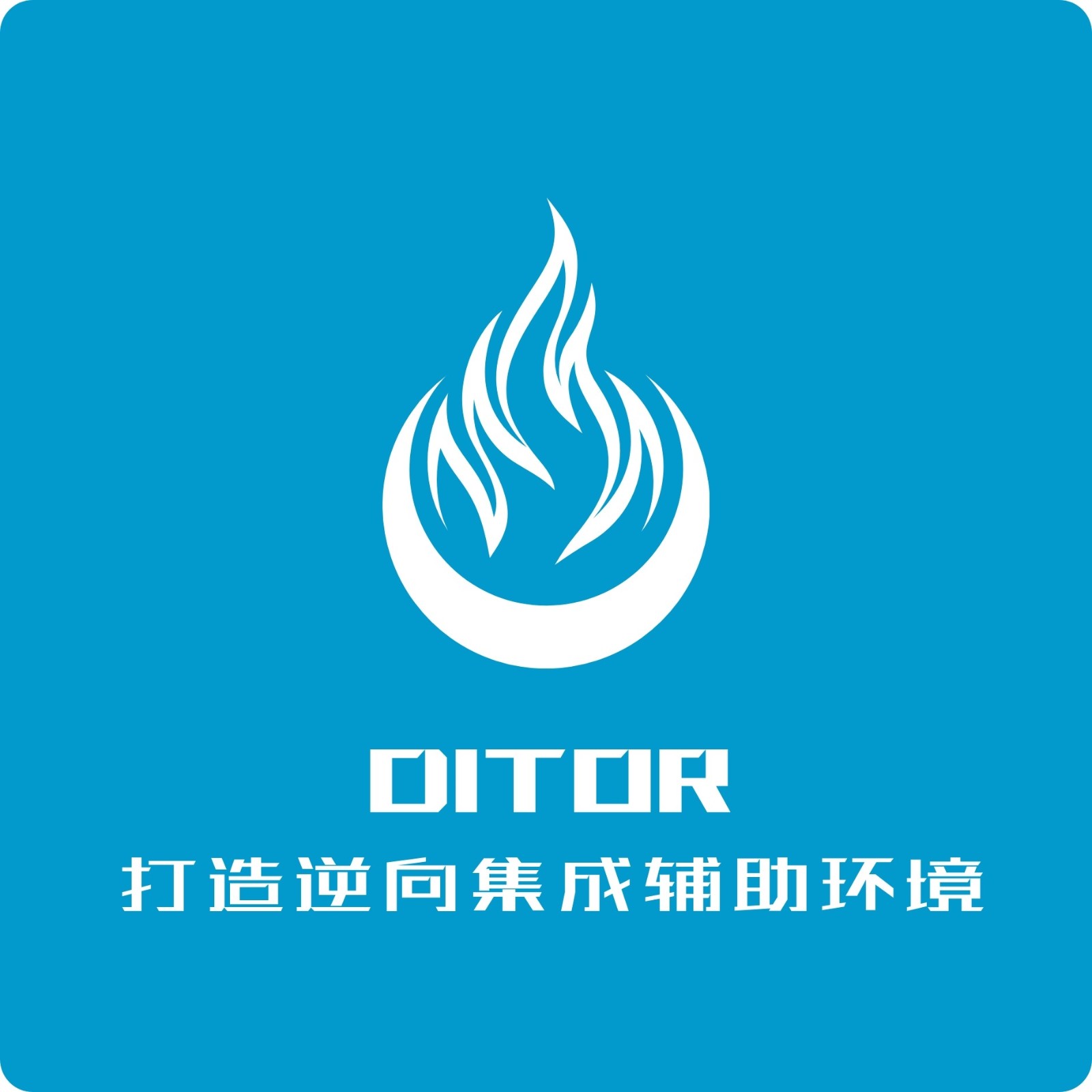 ditor脱壳软件下载