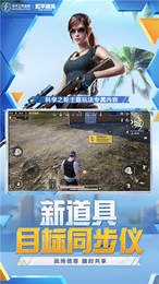 蓝龙美化包免费版1