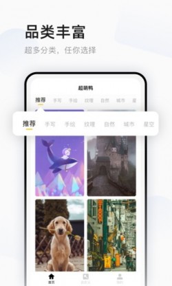 超萌鸭壁纸安卓免费下载1