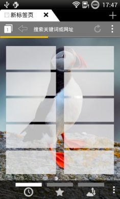 puffin浏览器2025最新手机版下载2
