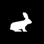Pika助手下载最新版