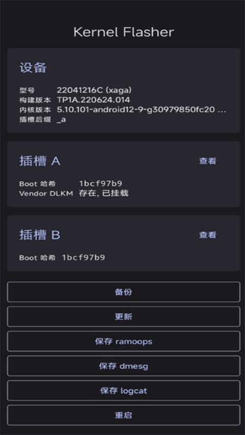 Kernel Flasher下载3