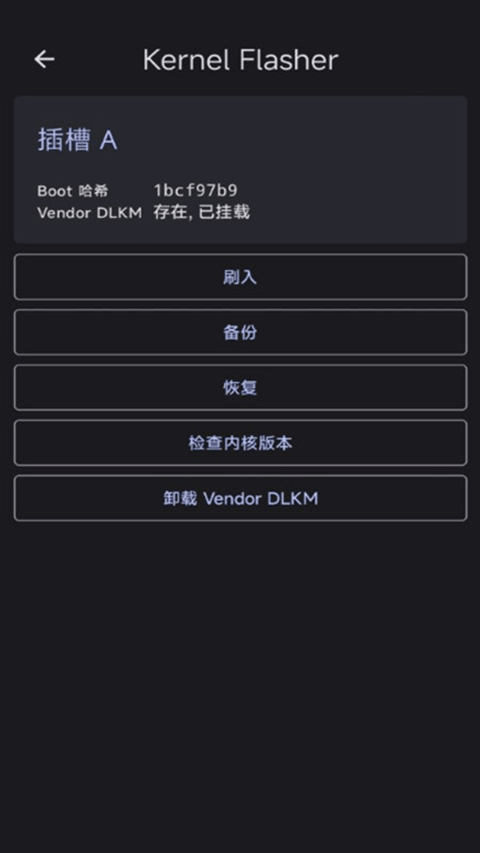 Kernel Flasher下载1
