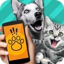 宠物对话翻译器app2025最新版本免费下载
